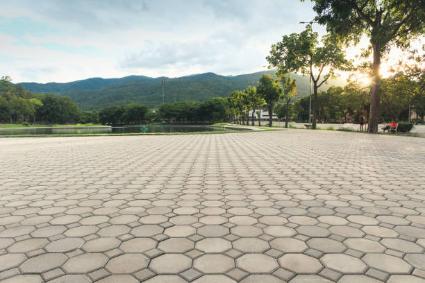 Best Driveway Pavers Near Me  in Gainesboro, TN